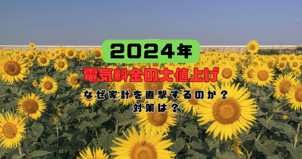 2024年の電気料金大値上げ〜なぜ家計を直撃するのか?対策は?